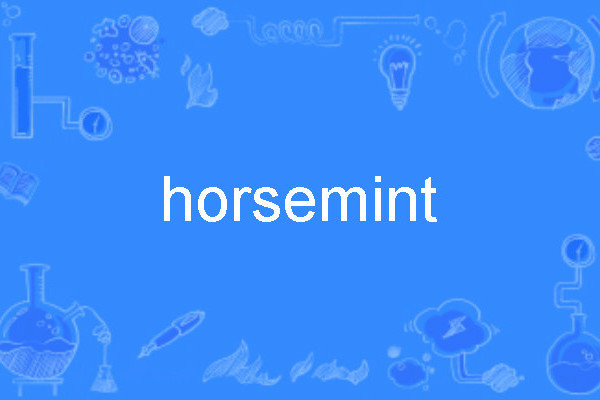 horsemint horsemint