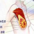 乳頭侵蝕 乳頭侵蝕