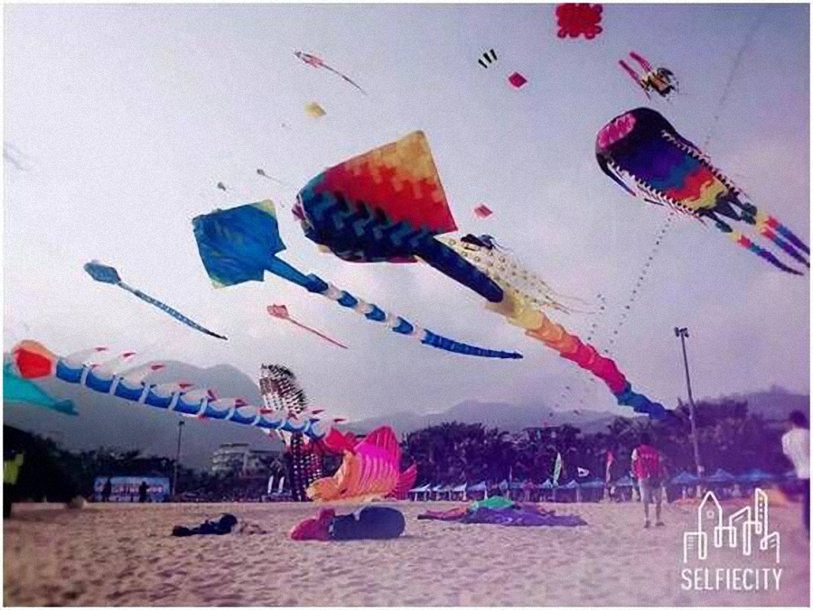 第十一屆深圳（大梅沙）國際風箏賽