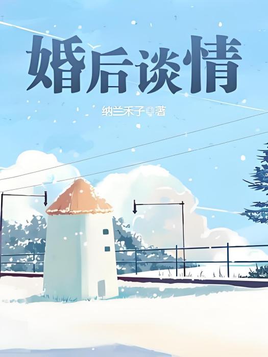 婚後談情 婚後談情