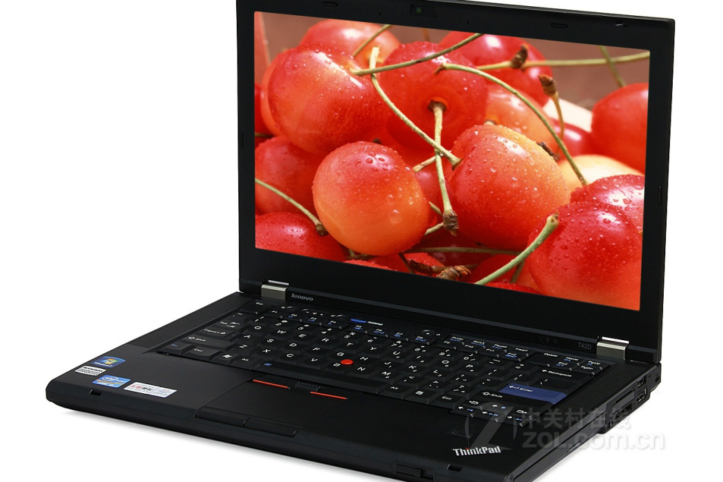 ThinkPad T420(4180AV5) ThinkPad T420(4180AV5)