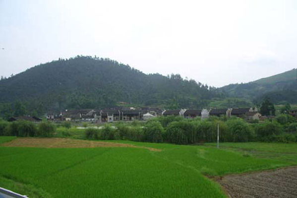 陽山古民居 陽山古民居