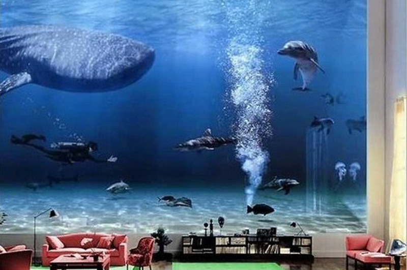 養有鯨鯊的客廳