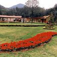徐州泉山國家森林公園 徐州泉山國家森林公園