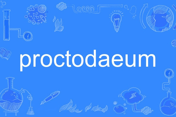 proctodaeum proctodaeum