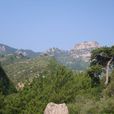 陀羅山 陀羅山