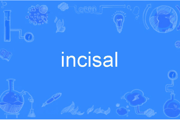 incisal incisal