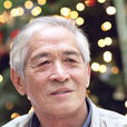 葉楠(中國內地作家、編劇) 葉楠(中國內地作家、編劇)