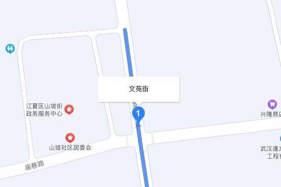 文苑街(武漢市光谷光電子信息產業園內的街道) 文苑街(武漢市光谷光電子信息產業園內的街道)