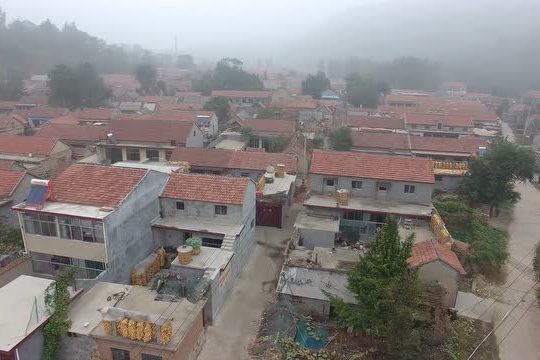 新王莊村(墨市岙山衛鎮下轄村) 新王莊村(墨市岙山衛鎮下轄村)