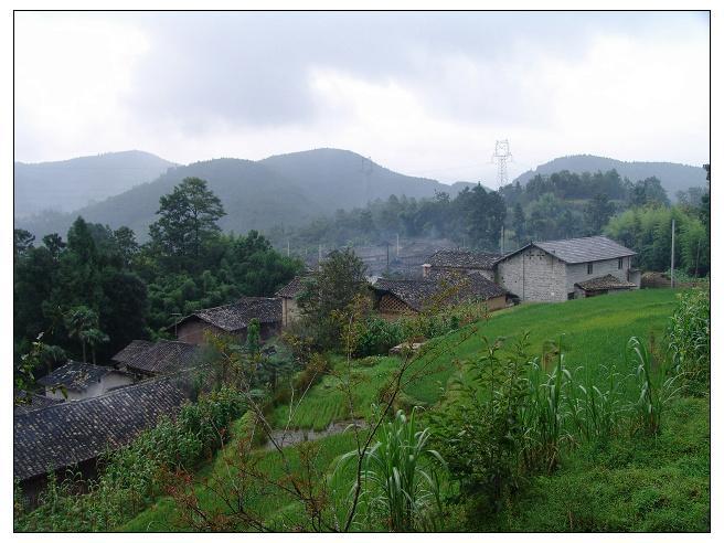 野豬坪村 野豬坪村