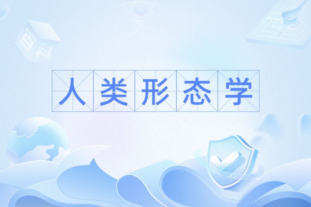 人類形態學 人類形態學