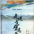 我行我動實踐教學叢書:走進戈壁高原(走進戈壁高原) 我行我動實踐教學叢書:走進戈壁高原(走進戈壁高原)