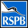 英國皇家保護鳥類協會