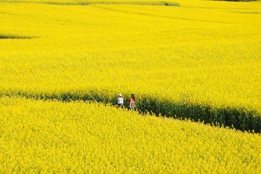 東關張村