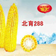 北育288(吉審玉2009037) 北育288(吉審玉2009037)