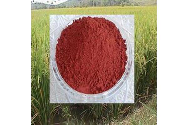 紅米(大米深層發酵而成的紅色黴菌)