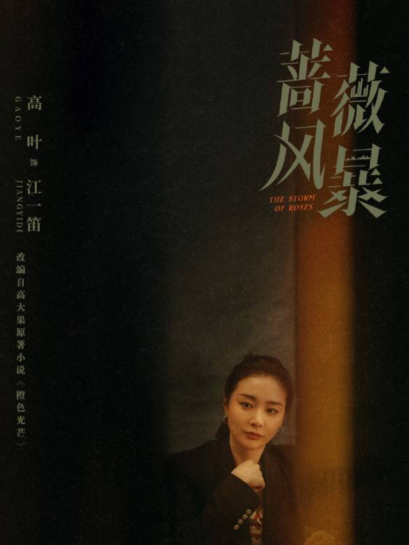 薔薇風暴(2024年惠楷棟執導的職場劇)