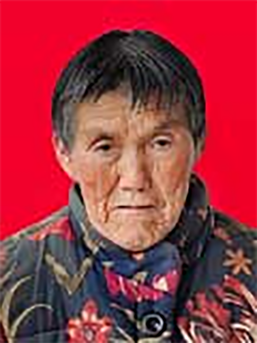 劉梅秀(江西省萍鄉市蘆溪縣喬嶺村村民) 劉梅秀(江西省萍鄉市蘆溪縣喬嶺村村民)