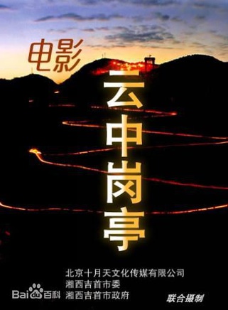 王大奇 王大奇