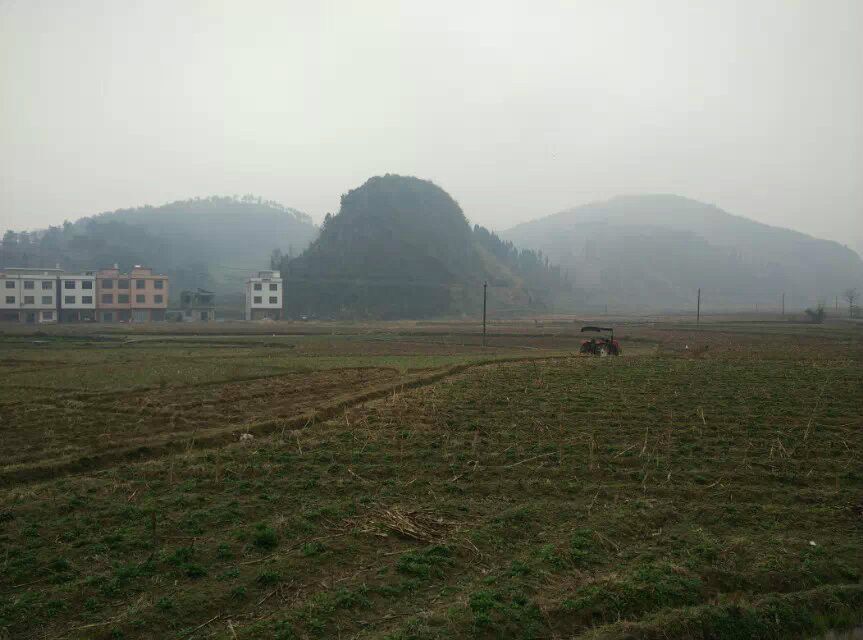 巡田鄉