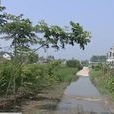 高李村(河南省南陽市鄧州市陶營鄉高李村) 高李村(河南省南陽市鄧州市陶營鄉高李村)