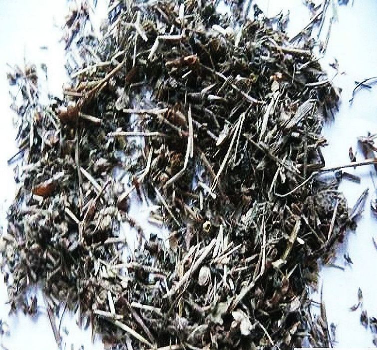 雙腎參(中藥材) 雙腎參(中藥材)