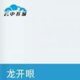 龍開眼 龍開眼