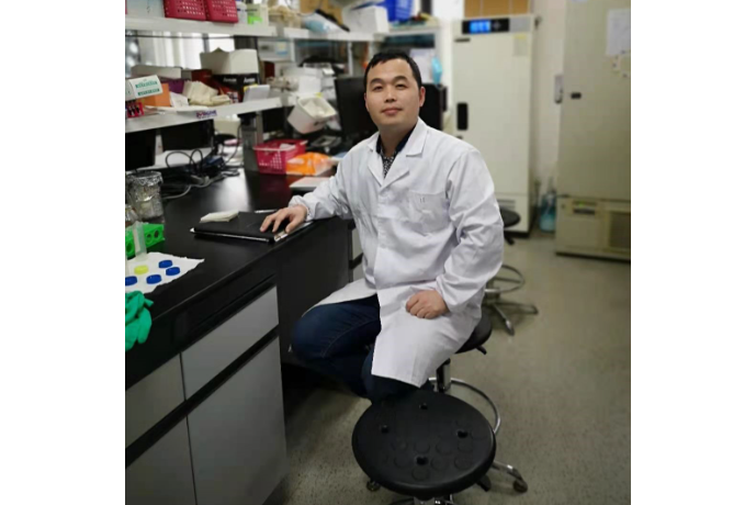 李恩(山東農業大學生命科學學院校聘教授)