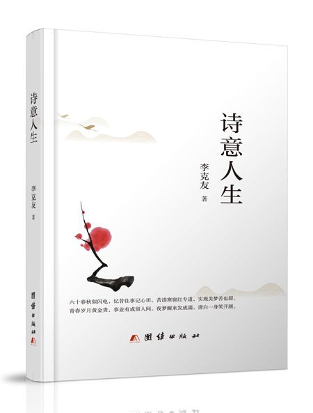 詩意人生(2020年團結出版社出版的圖書) 詩意人生(2020年團結出版社出版的圖書)