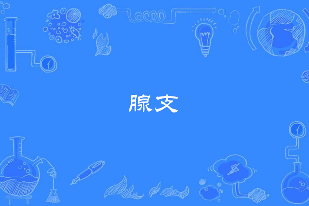 腺支 腺支