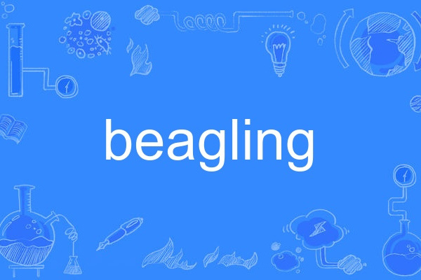 beagling beagling