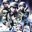 迷局(2008年王連平執導的電視劇)