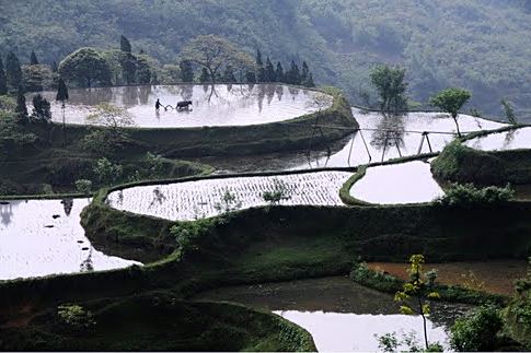 擺泥村 擺泥村