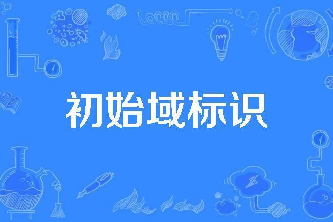 初始域標識 初始域標識