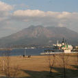櫻島町 櫻島町