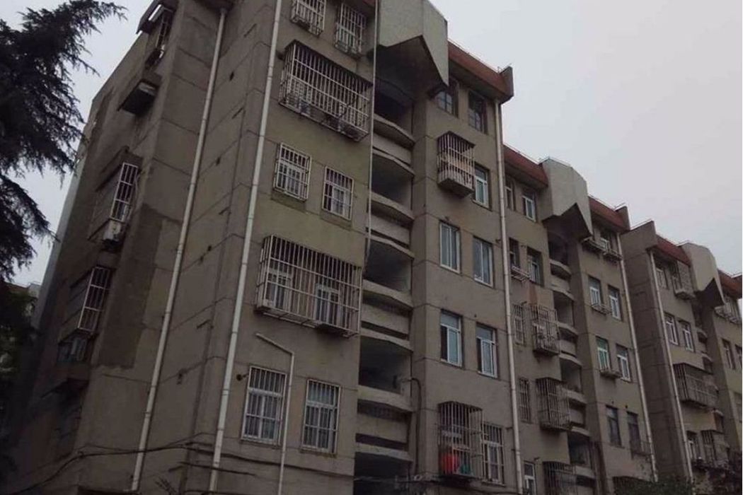 揚子十二村