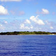 亨德森島(南太平洋的皮特凱恩群島亨德森島)