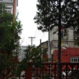 皂君西里 皂君西里