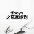 tfboys之冤家嫁到 tfboys之冤家嫁到