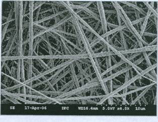 納米纖維顯微結構