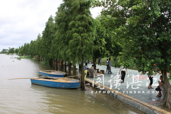 小枚陳村 小枚陳村