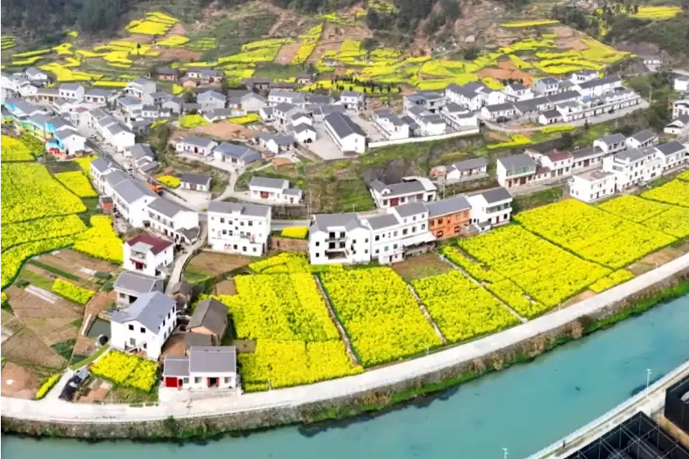 肖家邊村(湖北省竹谿縣龍壩鎮下轄村) 肖家邊村(湖北省竹谿縣龍壩鎮下轄村)