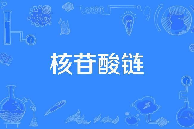 核苷酸鏈 核苷酸鏈