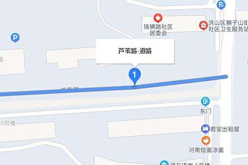 蘆葦路(武漢市洪山區東西走向城市支路) 蘆葦路(武漢市洪山區東西走向城市支路)