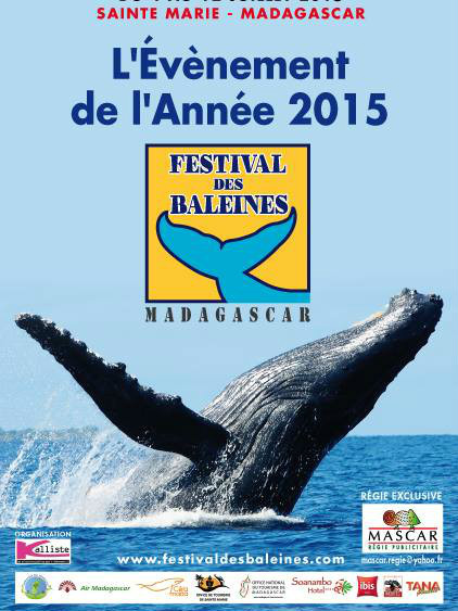 鯨魚節 鯨魚節