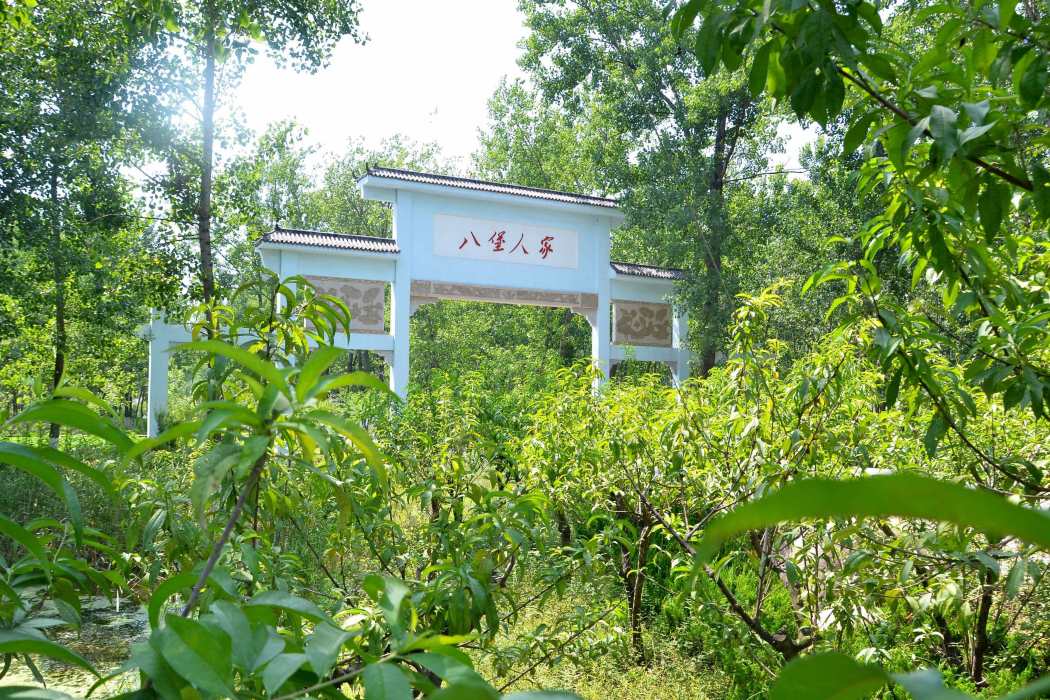 八堡村(江蘇省宿遷市泗陽縣李口鎮下轄村) 八堡村(江蘇省宿遷市泗陽縣李口鎮下轄村)