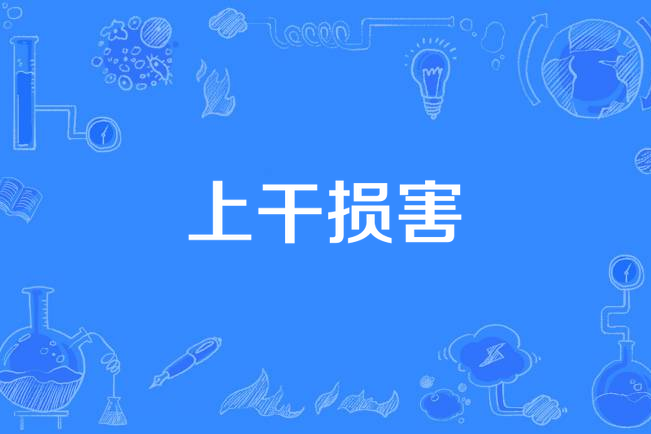 上乾損害 上乾損害