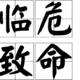 臨危致命 臨危致命