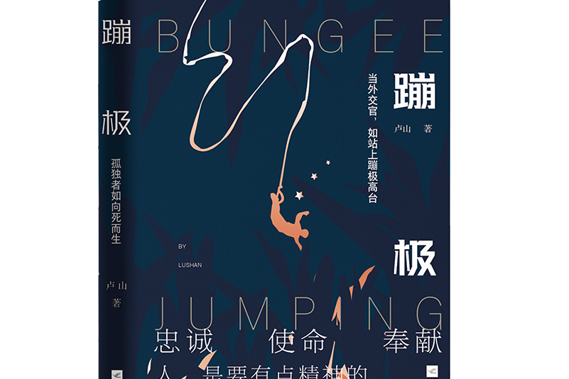 蹦極(2021年江蘇鳳凰文藝出版社出版的圖書) 蹦極(2021年江蘇鳳凰文藝出版社出版的圖書)